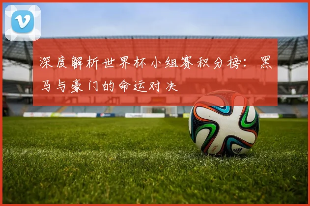 深度解析世界杯小组赛积分榜：黑马与豪门的命运对决